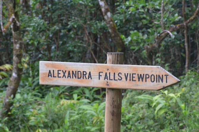 Wild South: Full-Day tour incl Rhumerie St Aubin, Bois cheri Tea factory & Lunch - Bois Chéri explains Mauritius through tea