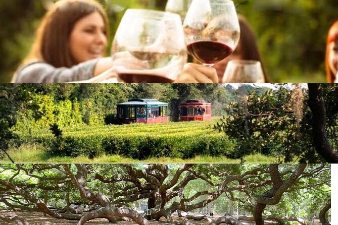Wine Sippin'-Tea Drinkin'-Tree Huggin' Lowcountry Sightseeing - Key points at a glance