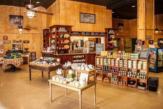 Wine Sippin'-Tea Drinkin'-Tree Huggin' Lowcountry Sightseeing - Deep Water Vineyard: a casual finish with wine and snacks
