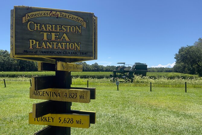 Wine Sippin'-Tea Drinkin'-Tree Huggin' Lowcountry Sightseeing - What the guide adds to the day