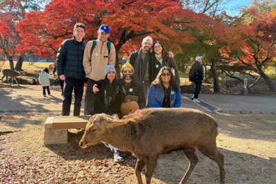 World Heritage Kyoto & Nara Uji Authentic Matcha Experience