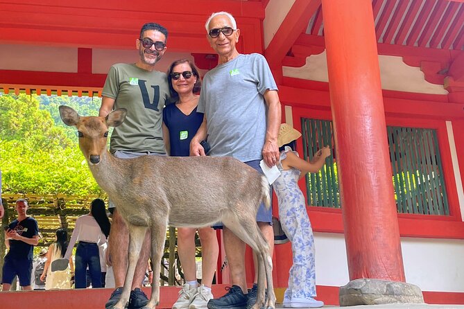 World Heritage Kyoto & Nara Uji Authentic Matcha Experience - Byodoin Temple and the 10-yen coin