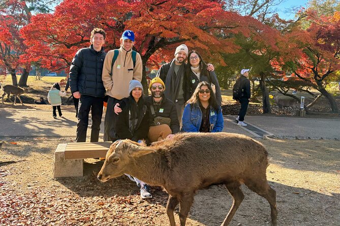 World Heritage Kyoto & Nara Uji Authentic Matcha Experience - Starting from Kyoto at 7:50 am